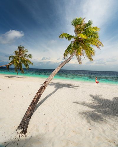 Vrouw onder palmbomen