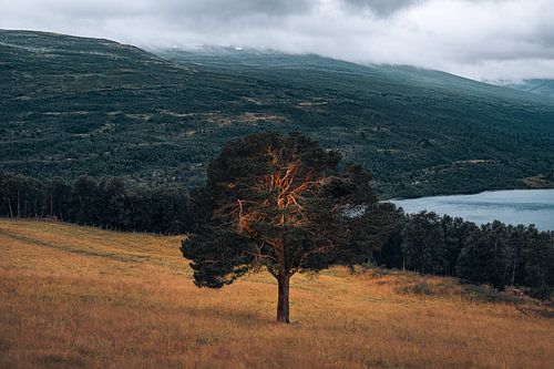 Gouden Veerkracht | Soirée orageuse à Trollheimen, en Norvège