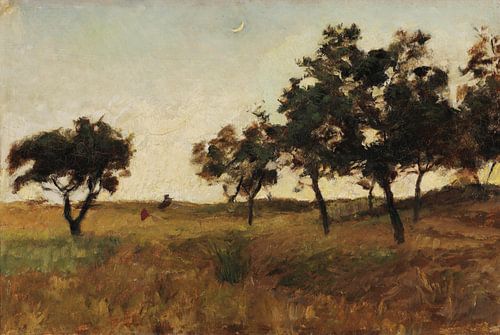 António Carvalho de Silva Porto~Moor in de Alentejo