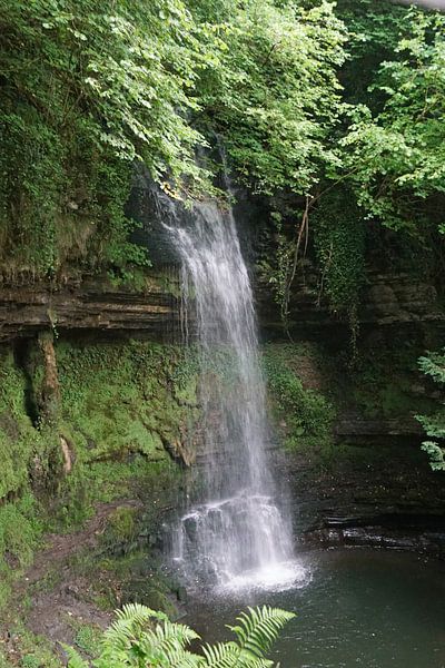 Der Glencar-Wasserfall von Babetts Bildergalerie