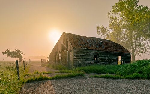 Vervallen schuur op een ochtend met mist in Noord-Holland