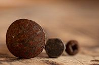 3 geroeste schroeven van Irene Ruysch fotografie thumbnail