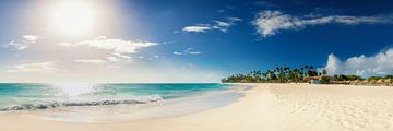 Traumhafter Strand auf der Insel Aruba in der Karibik.