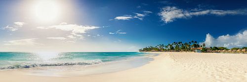 Dream beach on the Aruba in the Caribbean. by Voss photography