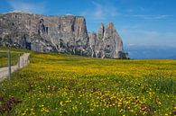 Alpe di Siusi in Zuid-Tirol van Rudolf Brandstätter thumbnail