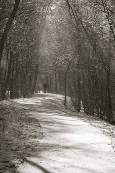 Wandeling in de sneeuw