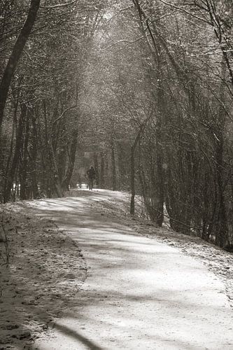 Wandeling in de sneeuw