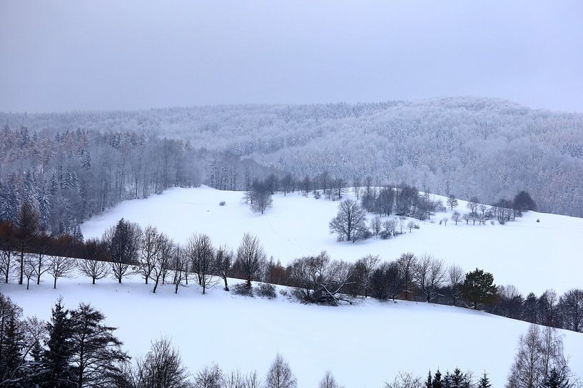 Winter in der Oberlausitz von Thomas Jäger