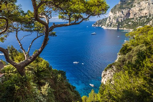 Blick zum Punta de Masullo, Capri