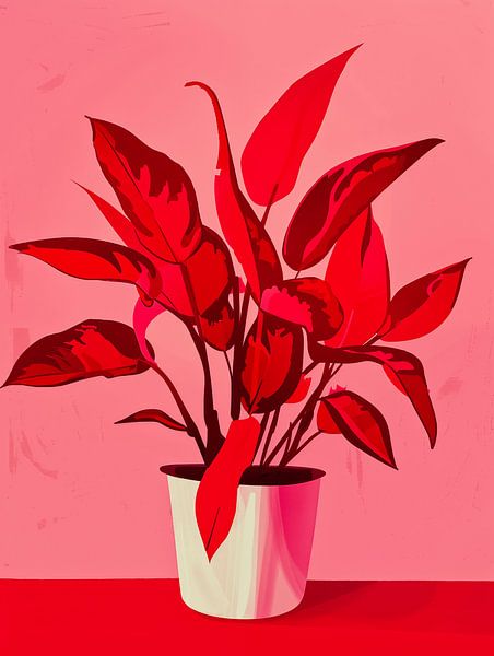 Dekorative Rote Zimmerpflanze von Frank Daske | Foto &amp; Design auf  ArtFrame, Leinwand, Poster und mehr | Art Heroes