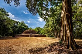Anciens stupas près de Sigiriya au Sri Lanka sur Roland Brack