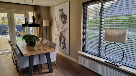 Tulpe, Pierre François Legrand, nach Gerard van Spaendonck