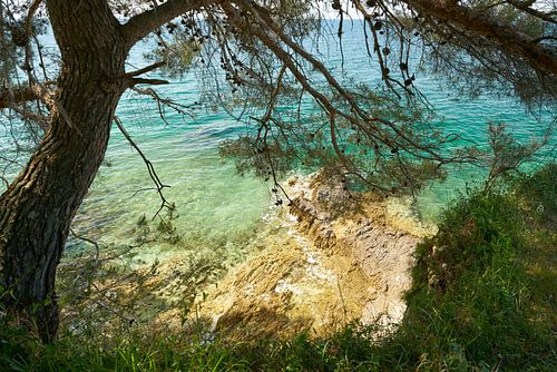 rotskust van de Adriatische Zee bij Porec
