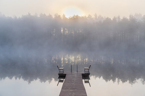 Misty Morning, Finlande sur Yanuschka | Fotografie Noordwijk