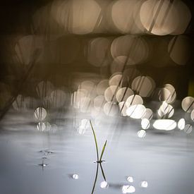 Circles by Betere Landschapsfoto