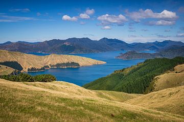 Marlborough Sounds