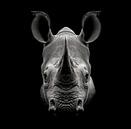 dramatic black and white portrait photo rendering of the head of a rhino looking straight into the camera by Margriet Hulsker thumbnail