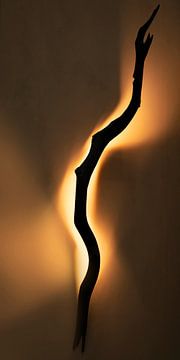 Light on the wall. 1 by Alie Ekkelenkamp