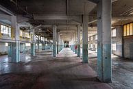 Verlassene Fabrikhalle. von Roman Robroek – Fotos verlassener Gebäude Miniaturansicht