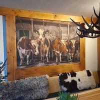 Photo de nos clients: Vaches dans une ancienne étable par Inge Jansen, sur art frame