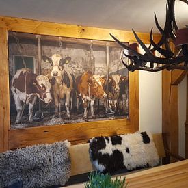 Kundenfoto: Kühe im alten Kuhstall von Inge Jansen, als artframe