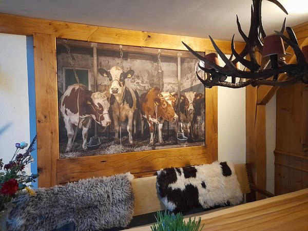 Customer photo: Dutch cows in an old barn by Inge Jansen, on ArtFrame