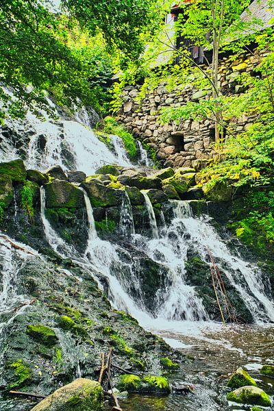 Kleine waterval in het bos met mos op stenen van Martin Köbsch