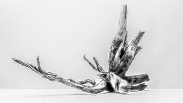 Tischplatte von Martina Dol