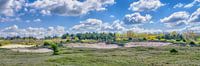 landschap vanuit het duin Noordhollands duinreservaat van eric van der eijk thumbnail