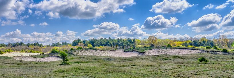 landschap vanuit het duin Noordhollands duinreservaat van eric van der eijk