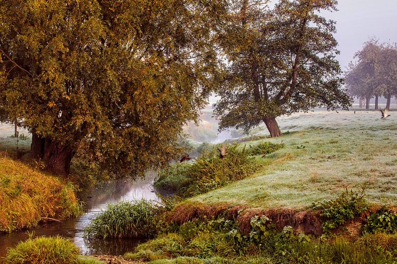 Branch of the river the gully at Watermolen van Wijlre by Rob Boon