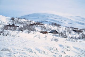 Noors hooggebergte, besneeuwde bergen en landschap van Martin Köbsch