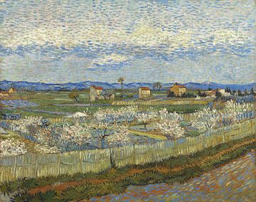 Perzikbomen in bloei, Vincent van Gogh