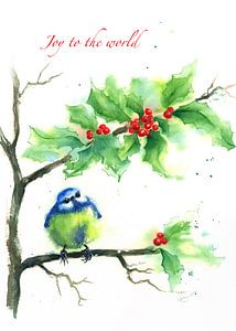 Joy to the world Blaumeise sitzt im Ilexbusch