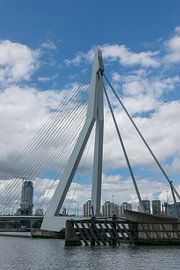 The famous Erasmus Bridge in Rotterdam by Patrick Verhoef