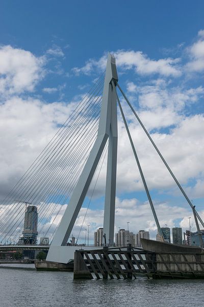 The famous Erasmus Bridge in Rotterdam by Patrick Verhoef