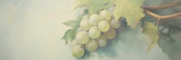 Green grapes by Whale & Sons