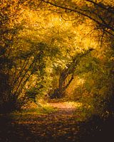 October Sun