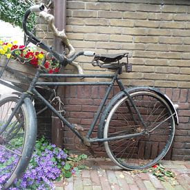 Belgische fiets met luiken van Willem Visser