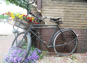 Belgische fiets met luiken van Willem Visser