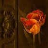 Tulpen aus Holland. von Alie Ekkelenkamp