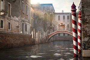 Venedig Ballerina