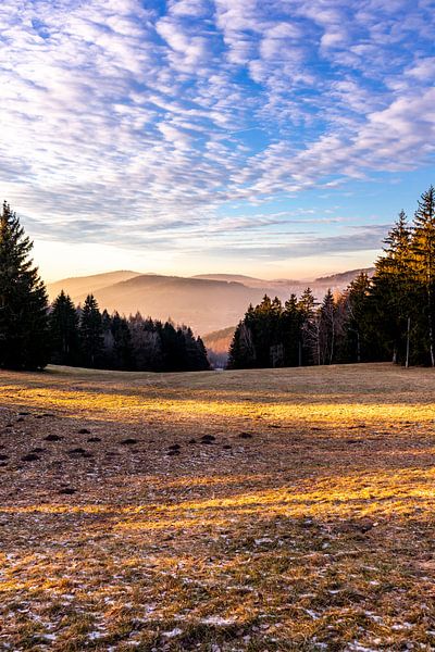 Korte wandeling bij zonsondergang naar de Ruppberg bij Zella-Mehlis - Thüringen - Duitsland van Oliver Hlavaty