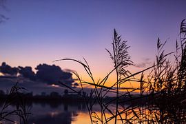 Wie eine tapfere Sommernacht im Winter Nr. 3 von Deborah de Meijer