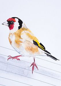 Le putter, illustration d'un oiseau sur Angela Peters