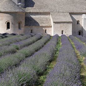Sénanque Abbey among blooming lavender by Affect Fotografie
