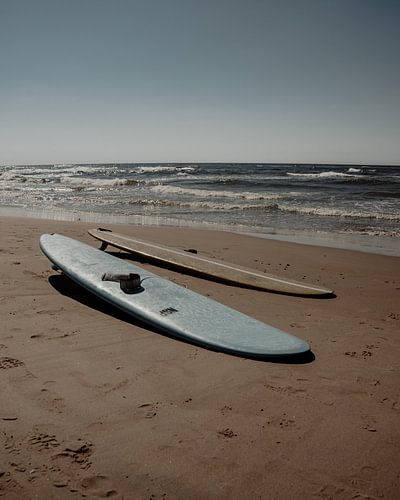 Planches de surf sur la plage