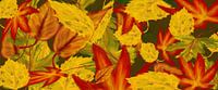 Herfst in september