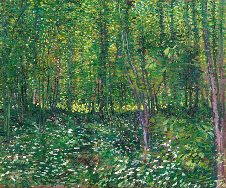 Vincent van Gogh, Forest with undergrowth by 1000 Schilderijen