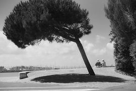 Pensionado's sur Hans Heemsbergen